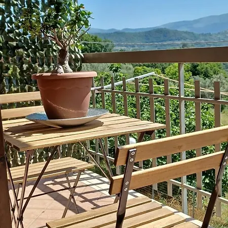 Alojamento de Acomodação e Pequeno-almoço Cilentami Prignano Cilento